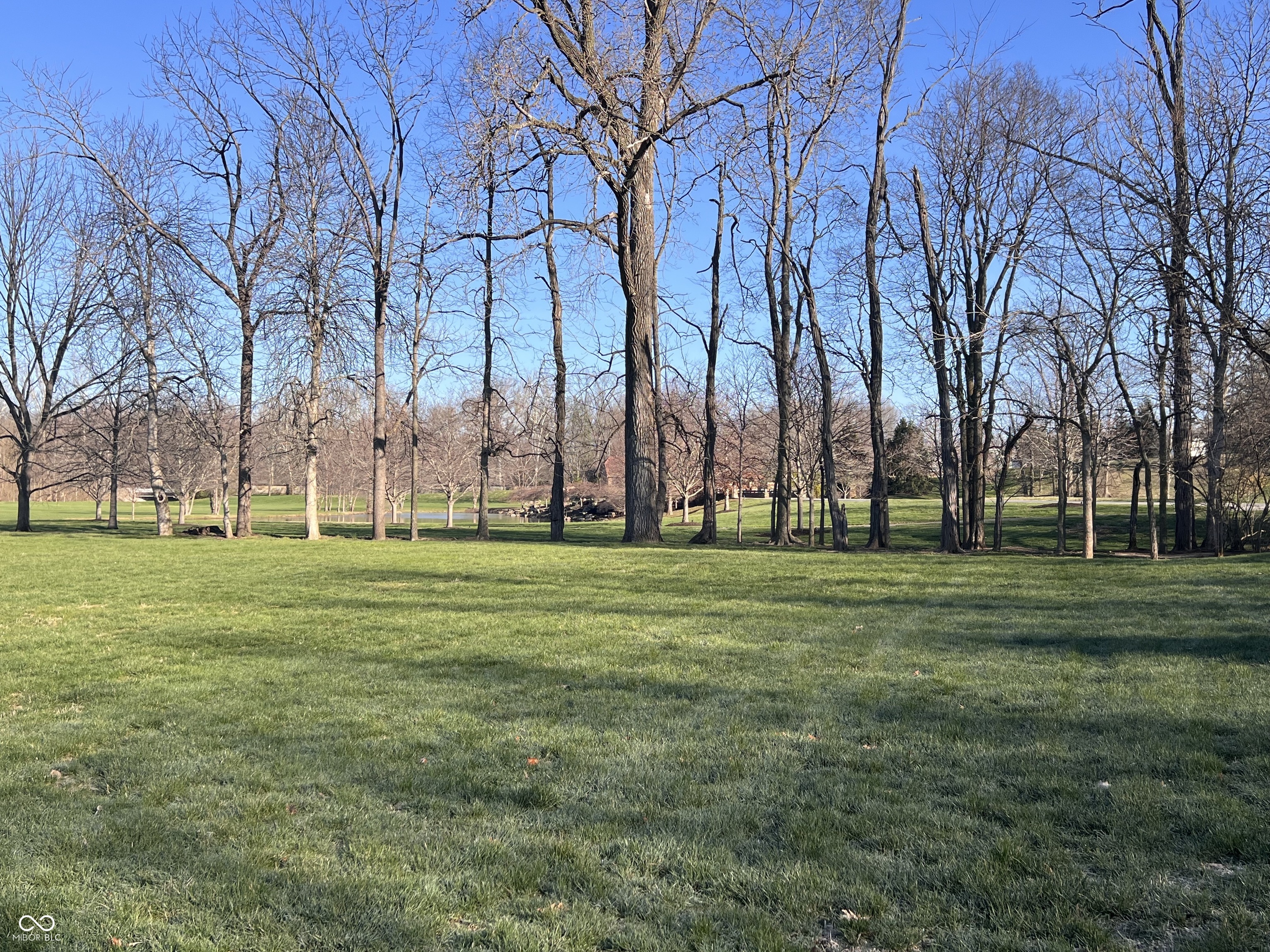 1 Woodard Bluff