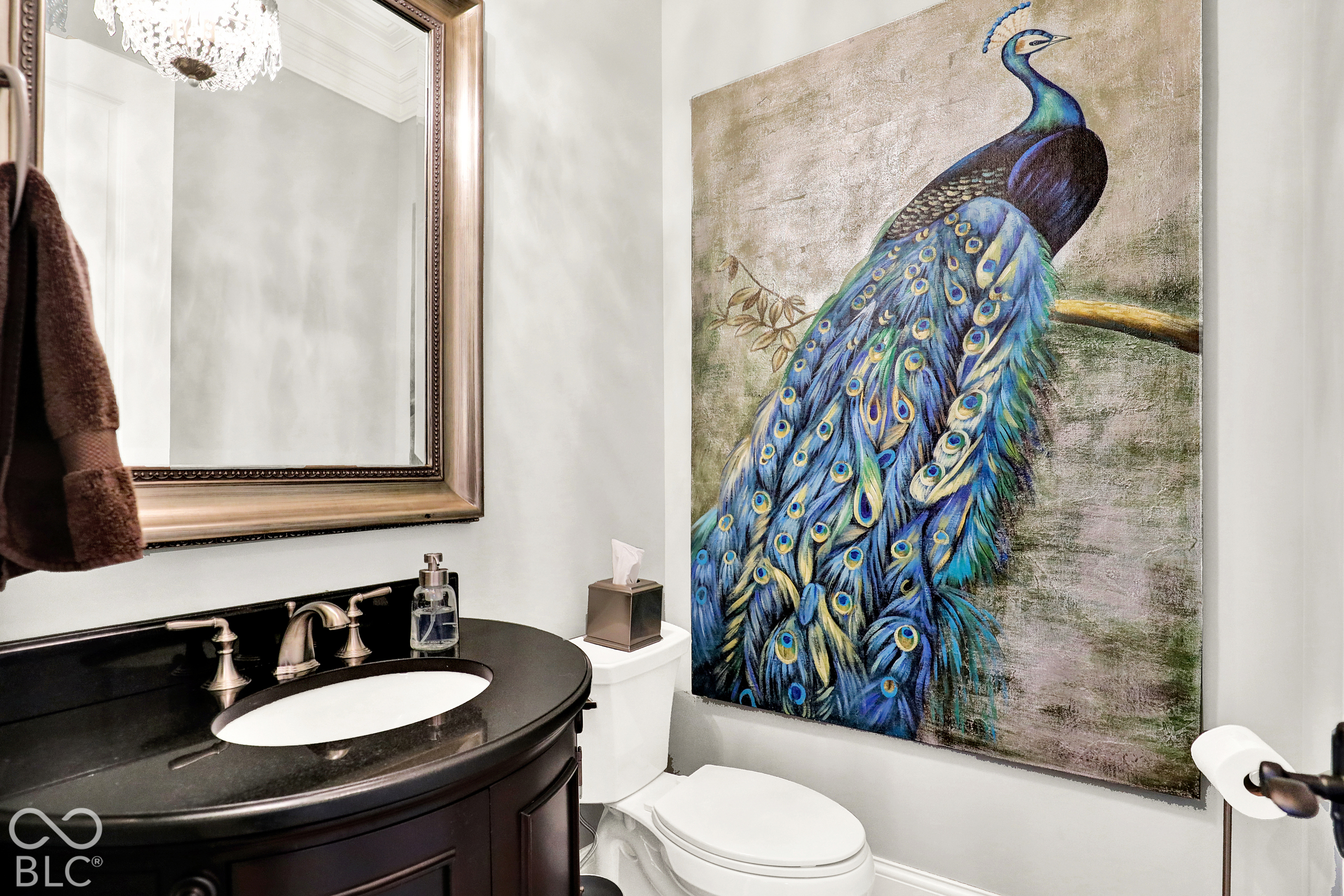 15621 Hidden Oaks Court