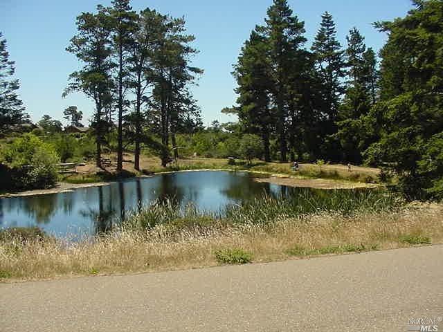 43501 Hillcrest Dr #14