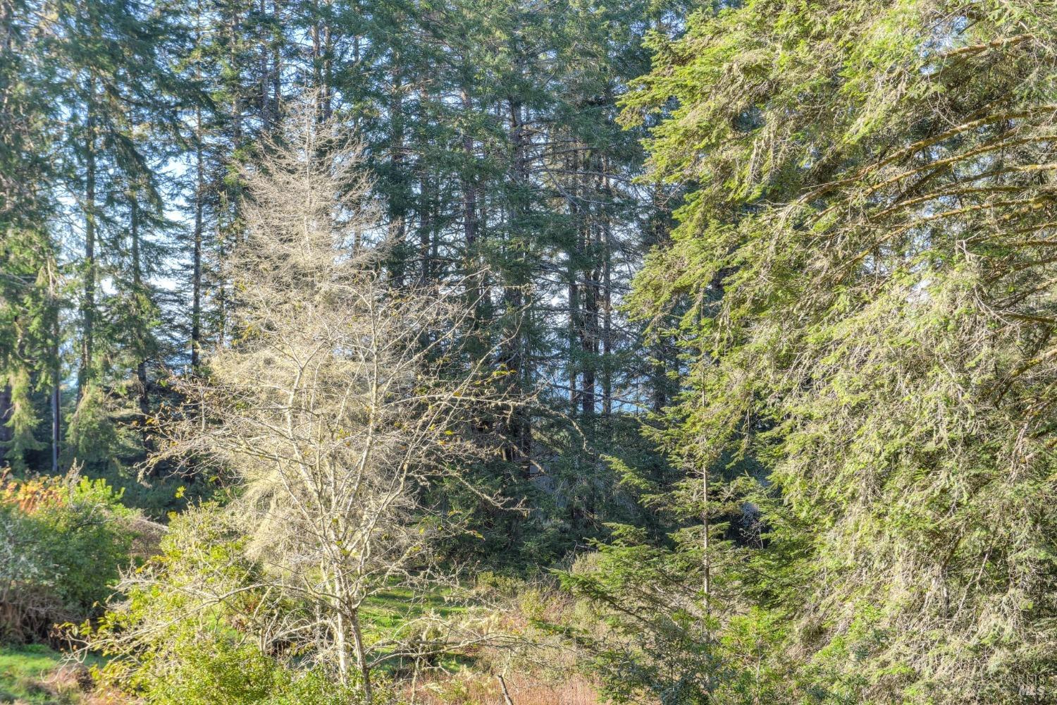 35457 Timber Ridge Rd