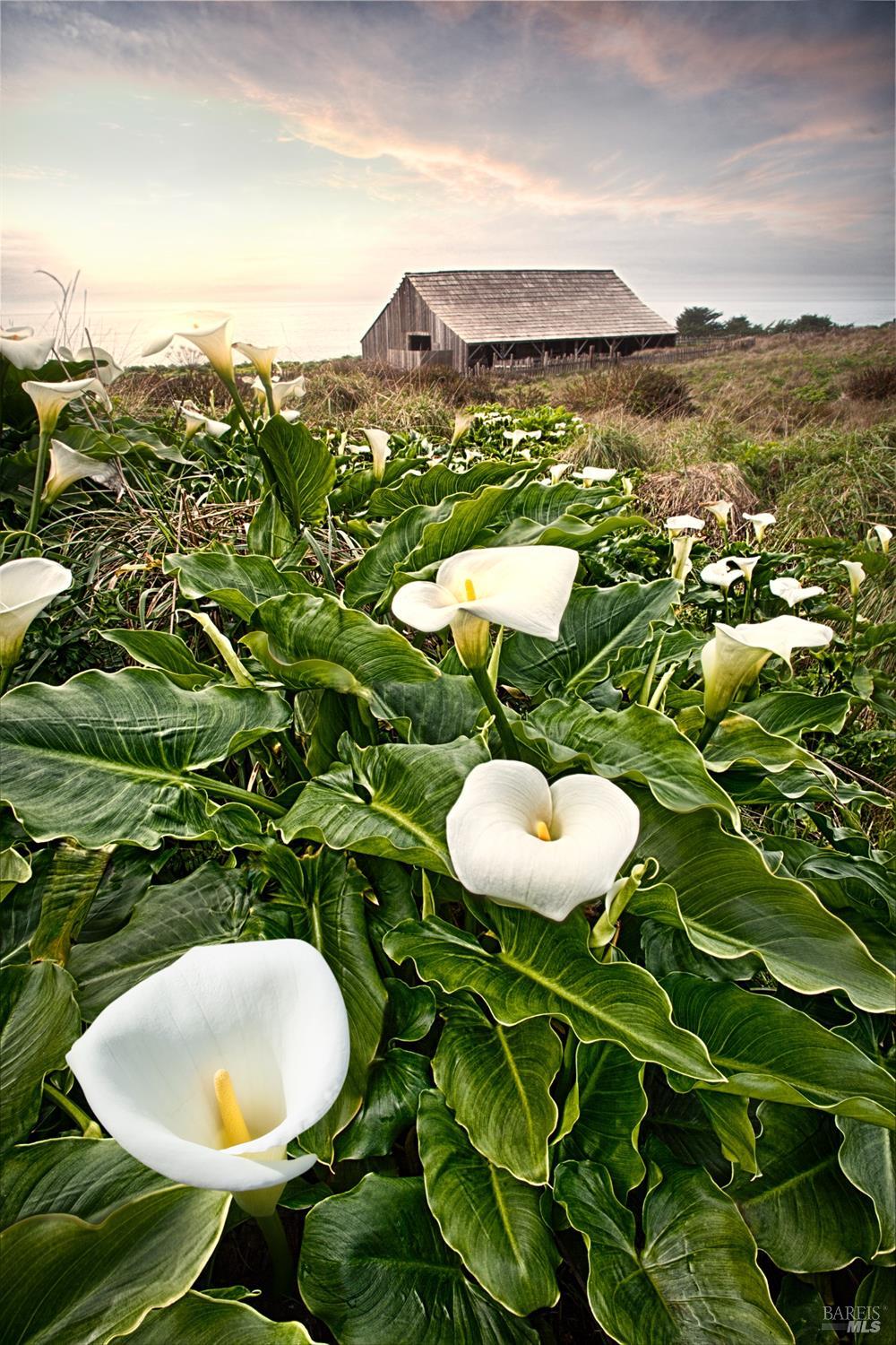 35451 Timber Ridge Rd