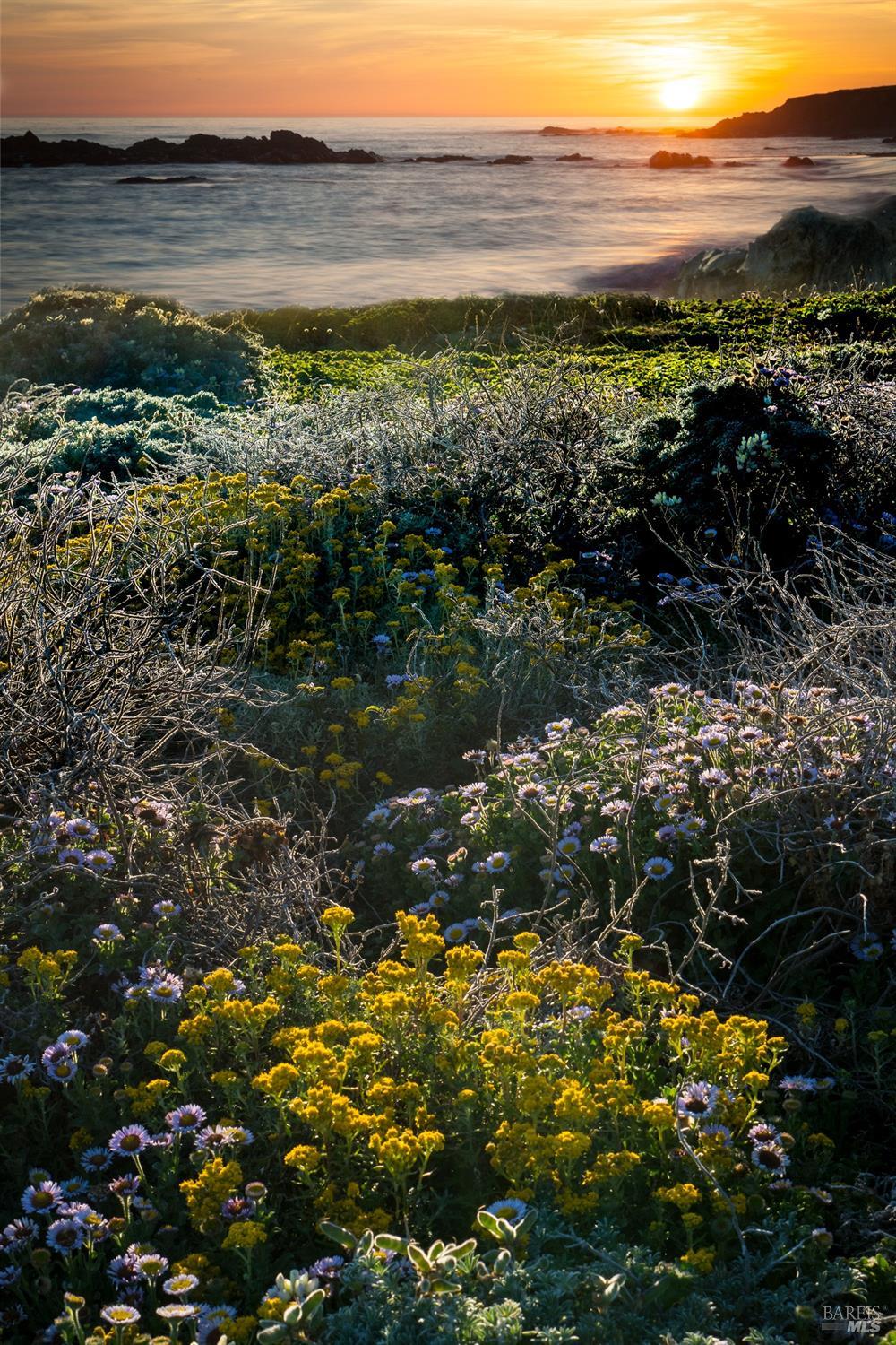 35451 Timber Ridge Rd