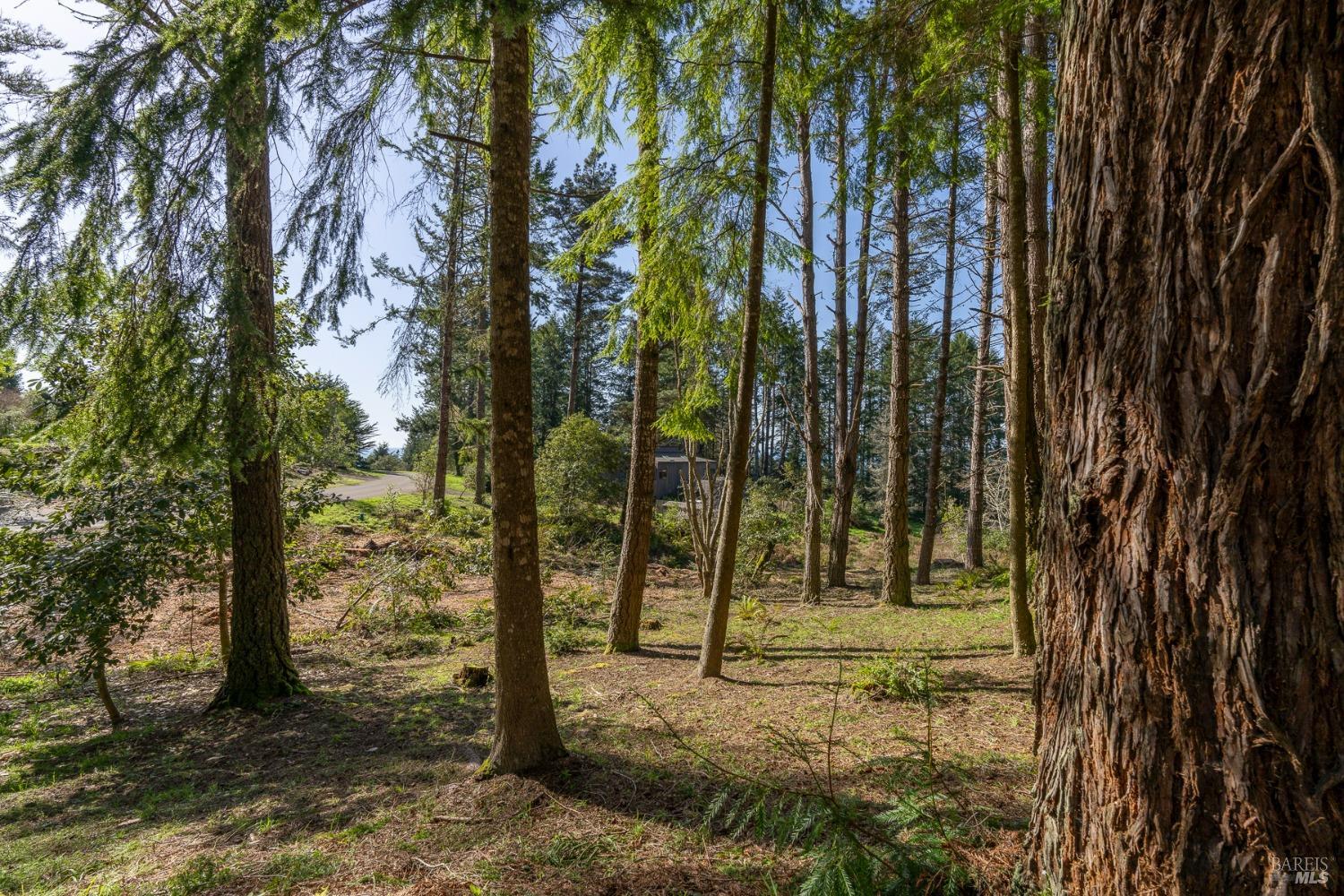 35451 Timber Ridge Rd