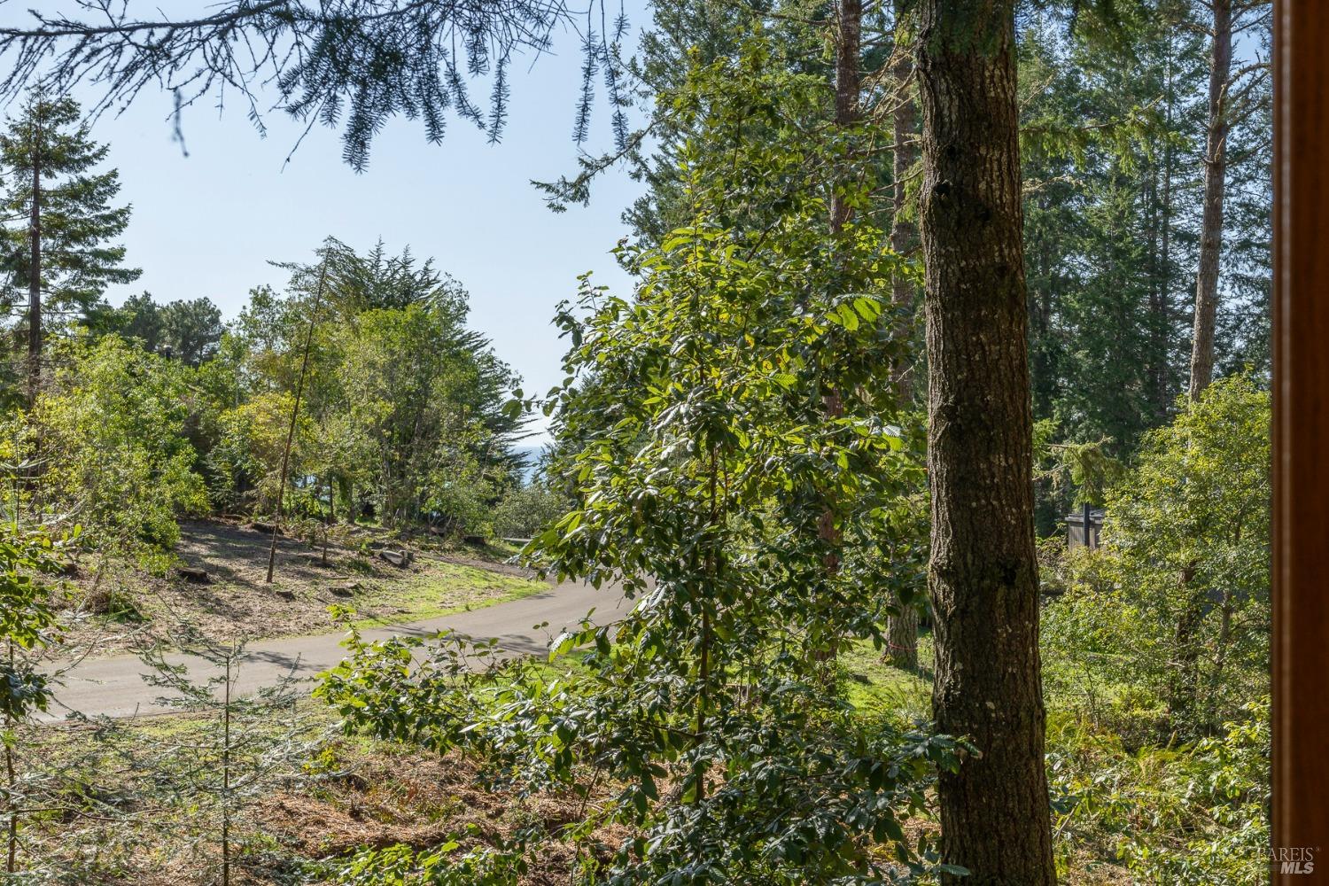 35451 Timber Ridge Rd