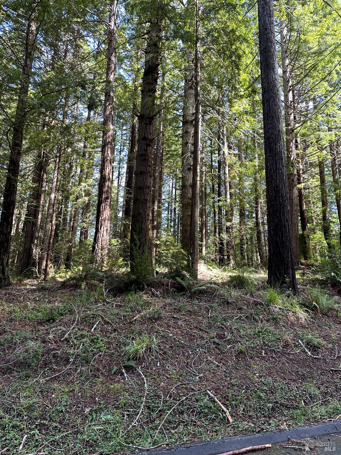 35400 Timber Ridge Rd