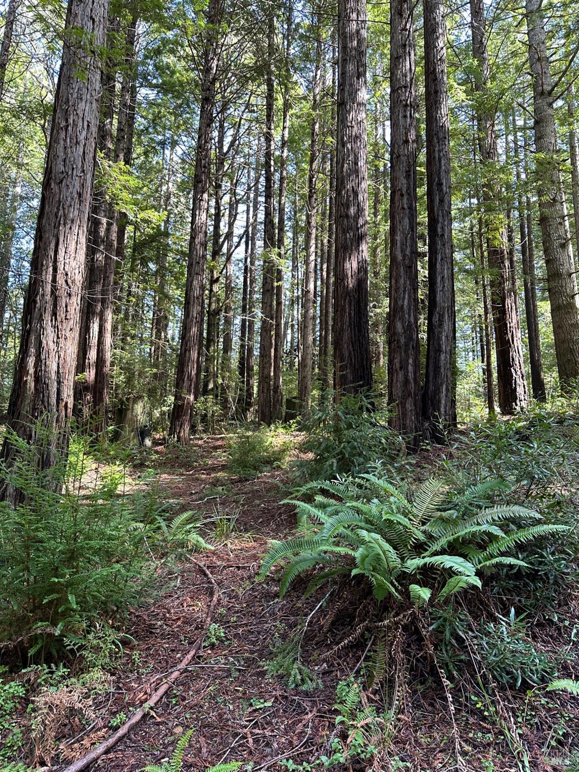 35400 Timber Ridge Rd