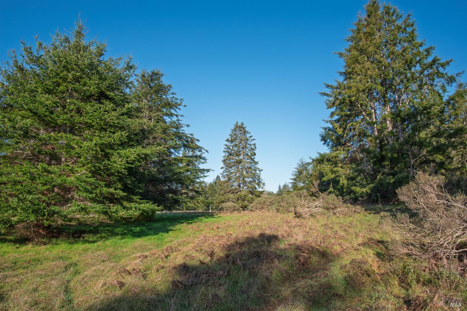 36231 Timber Ridge Road