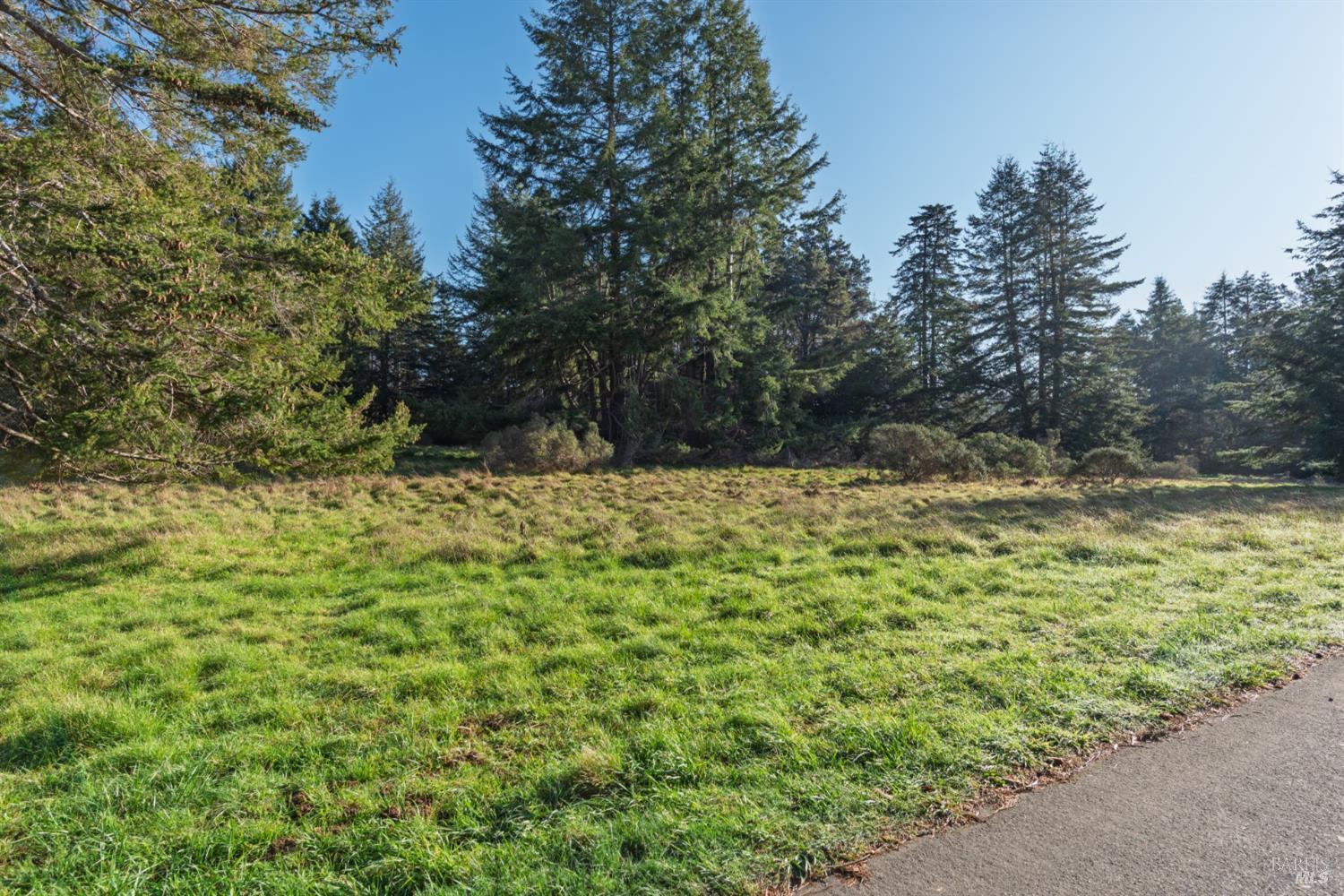 36231 Timber Ridge Road