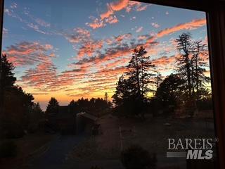 350 Conifer Close Road