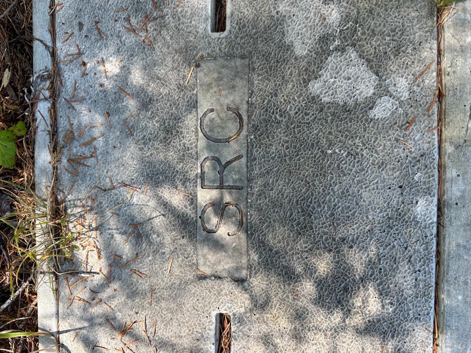 10181 Sorcerer Wood