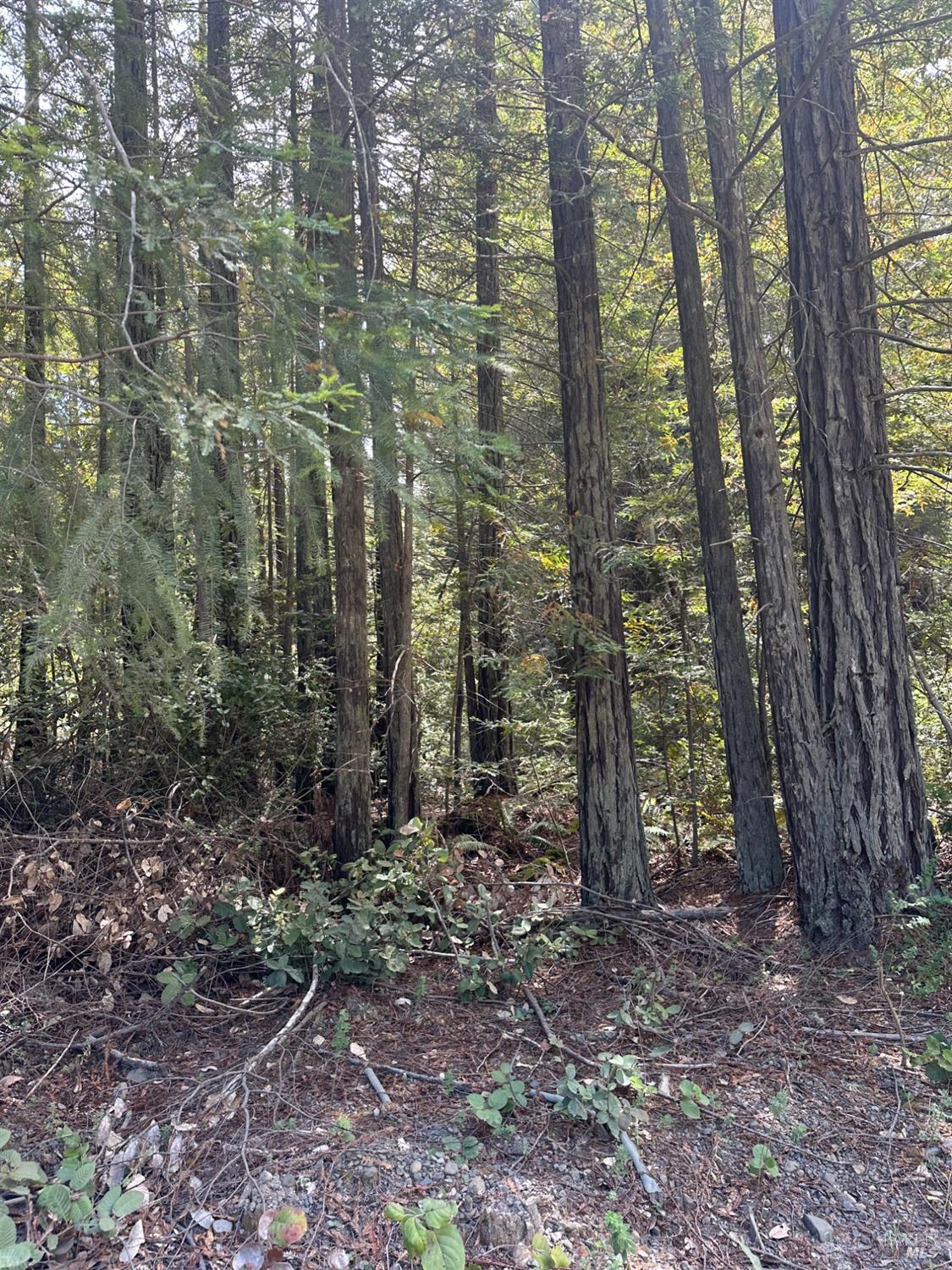 0 Old Stage Road