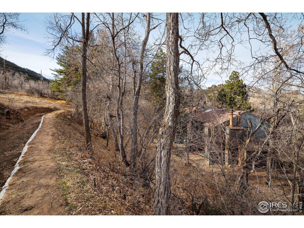 350 Arapahoe Ave 6
