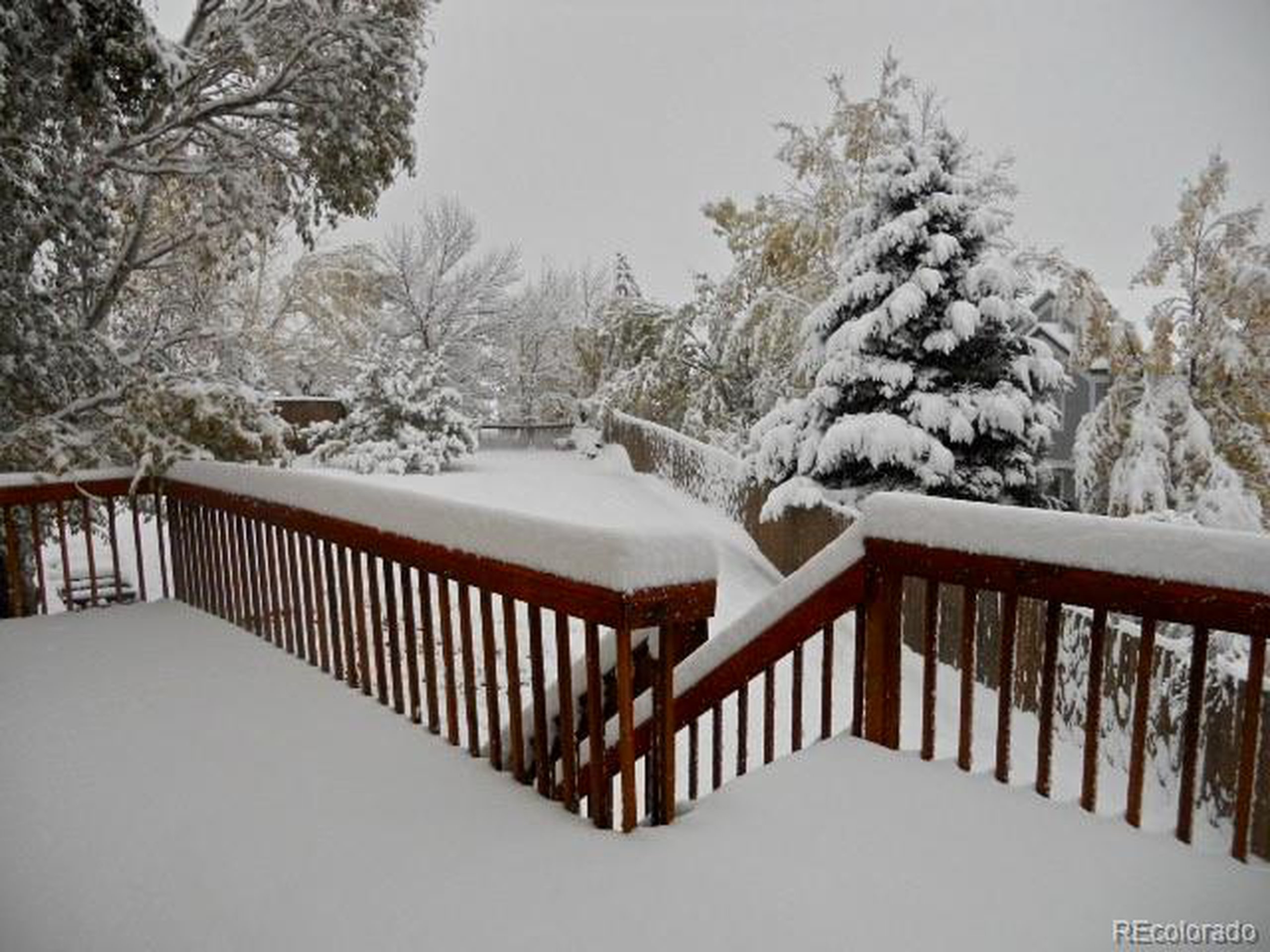 924 Arapahoe Ct
