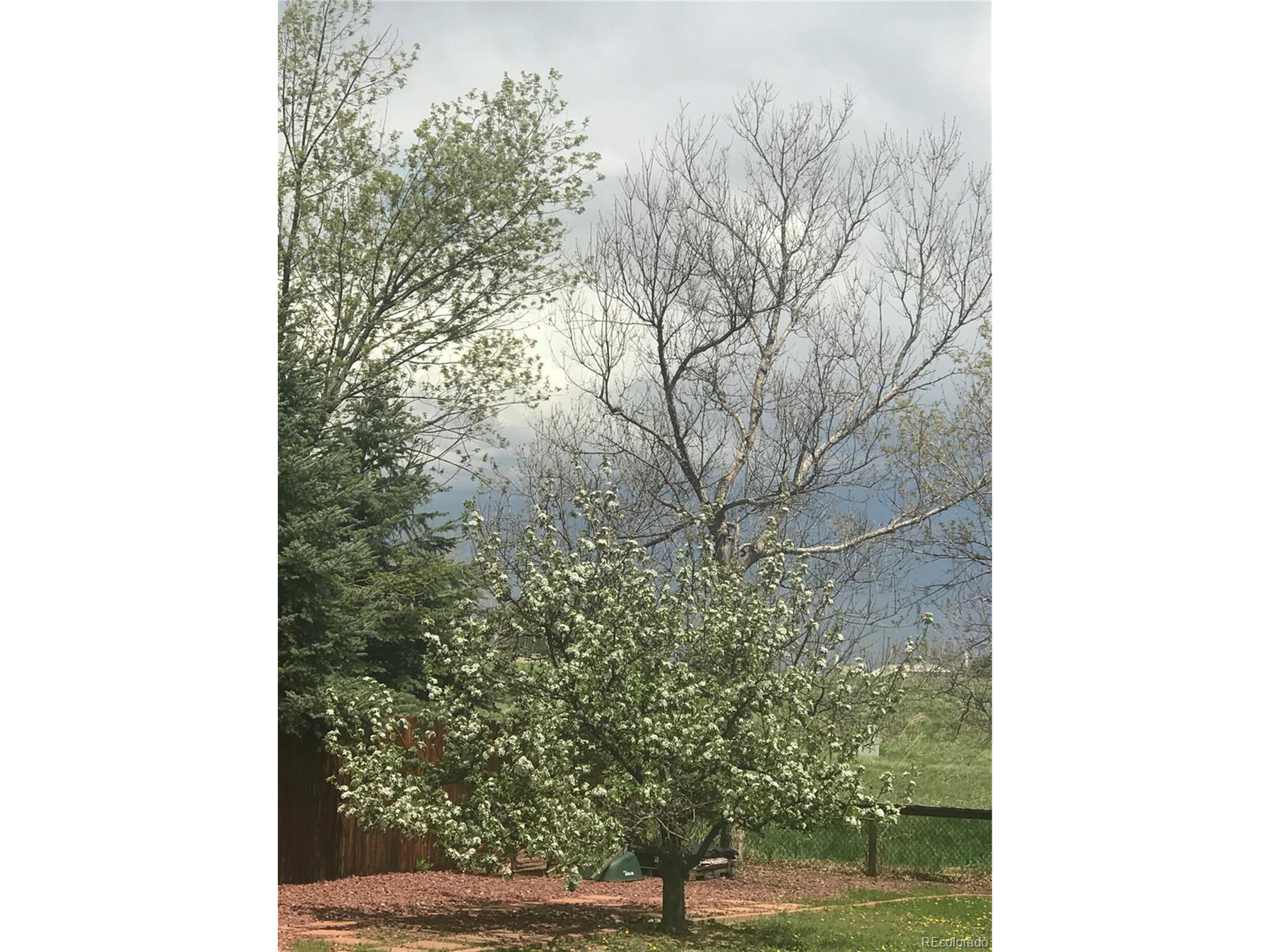 924 Arapahoe Ct