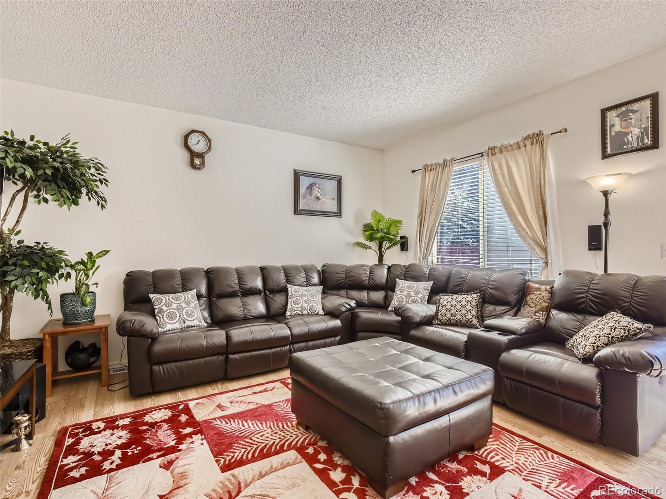 1980 Hamron Ct