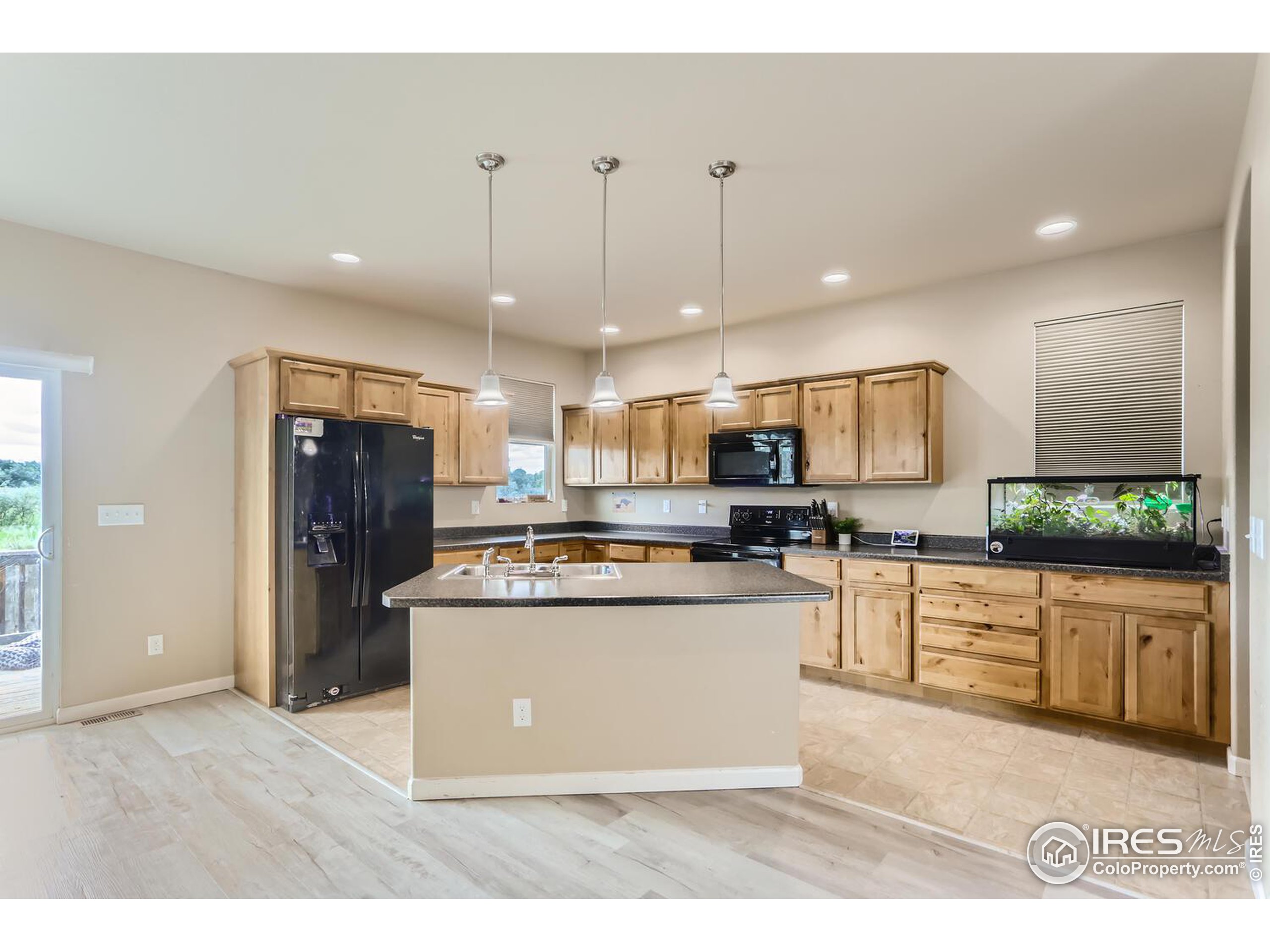 494 Cholla Dr