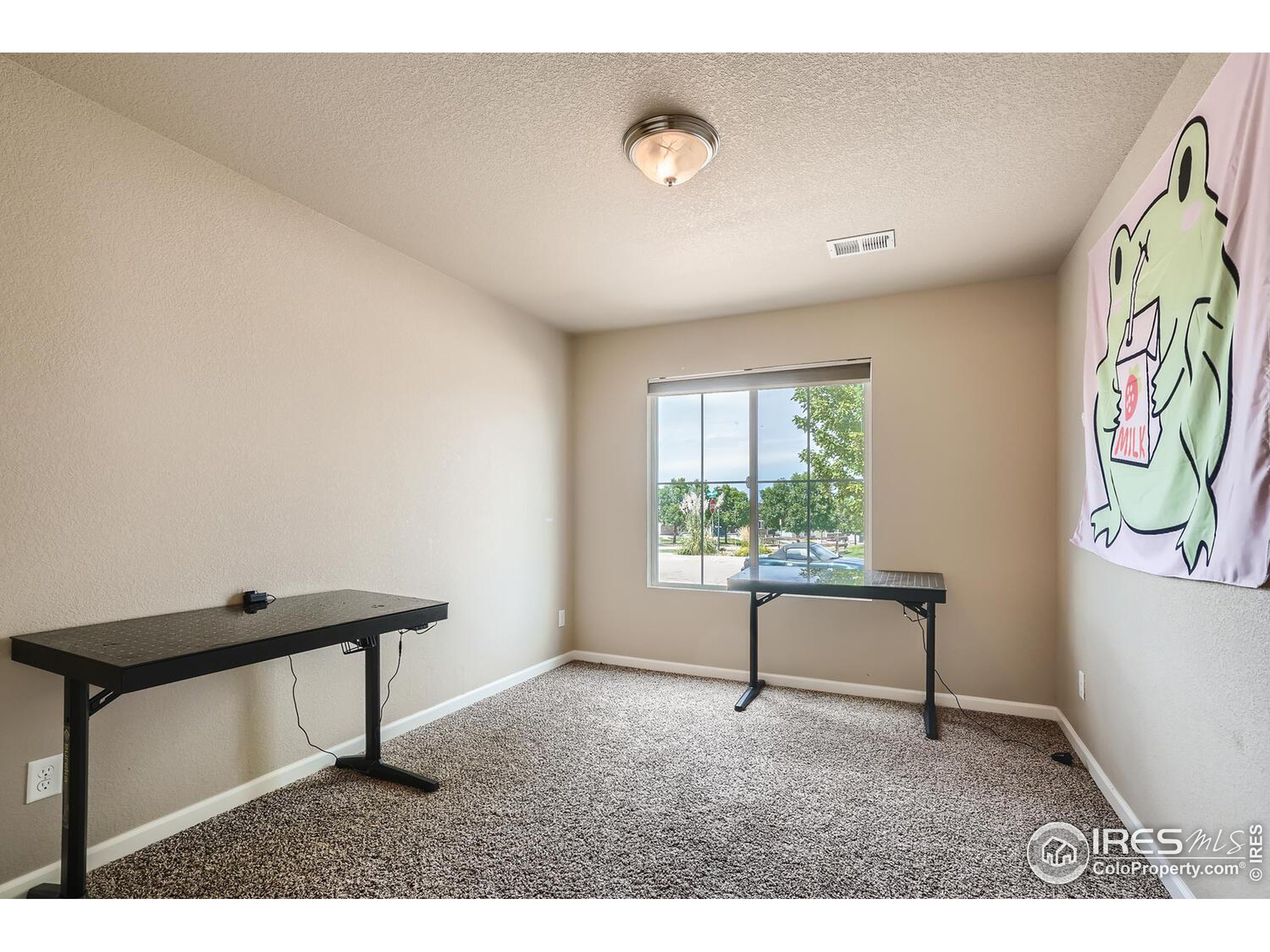 494 Cholla Dr