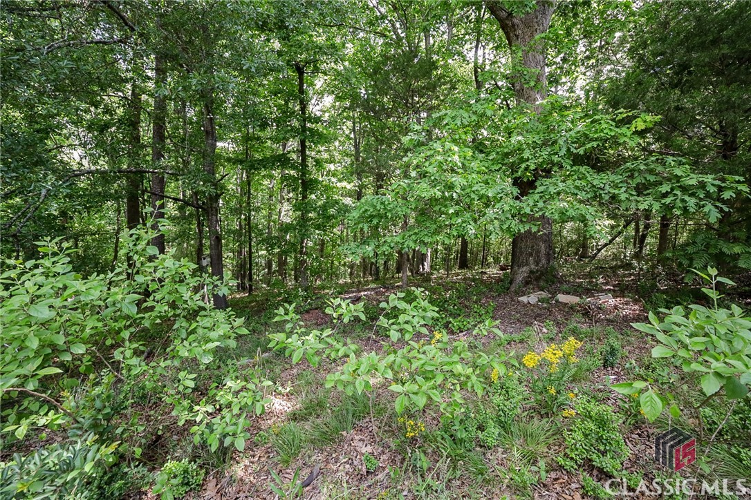 1171 Ridgefield Drive
