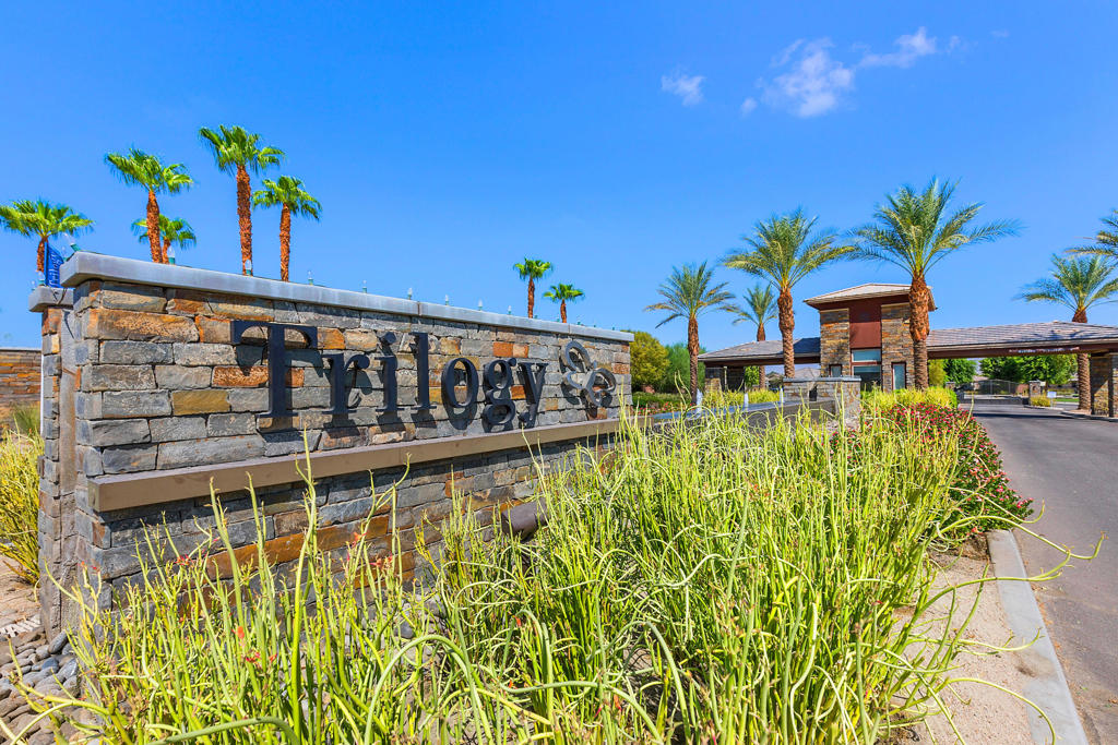 51515 Whiptail Drive