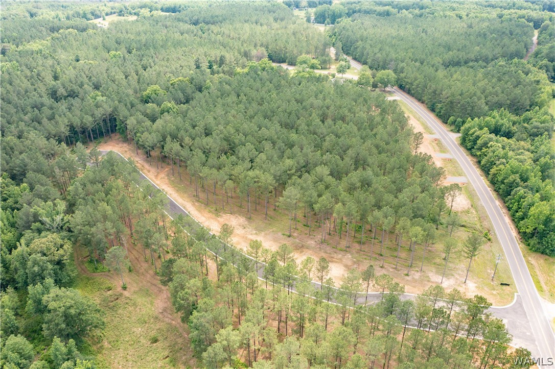 Lot 2 JC Gilliam Road