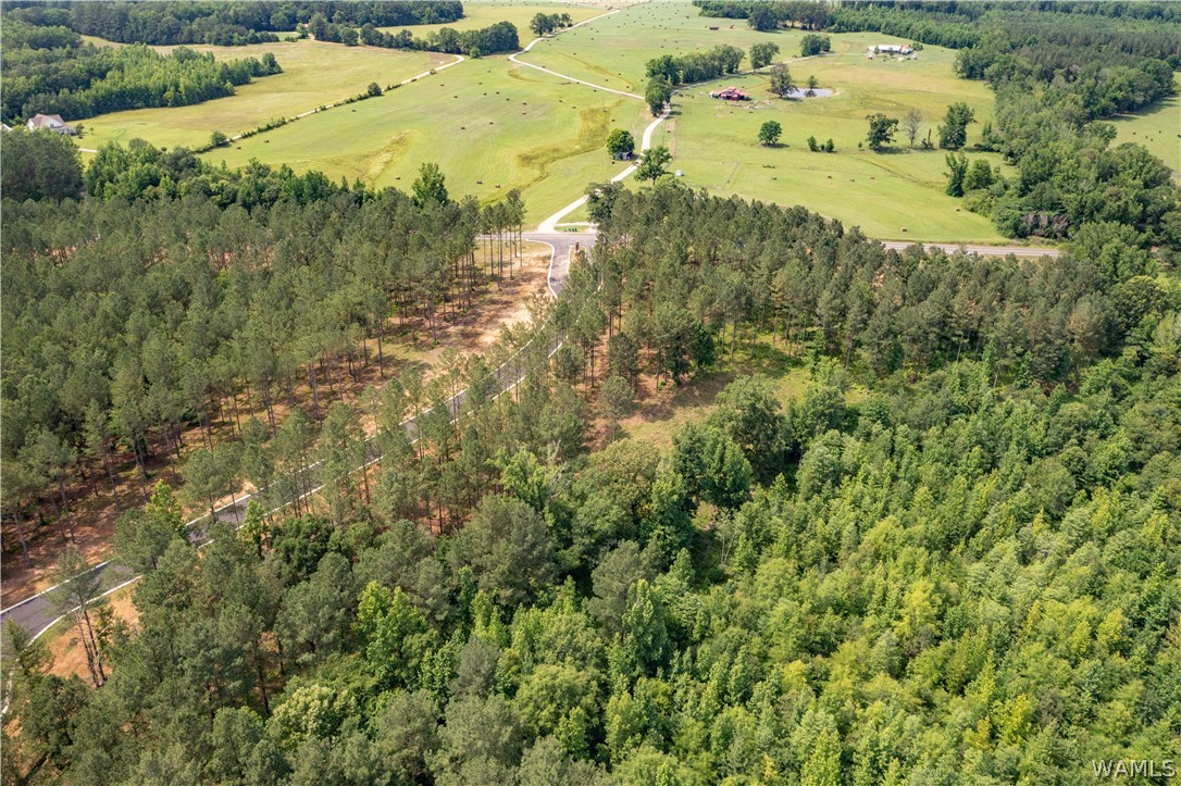 Lot 8 Stormi Way