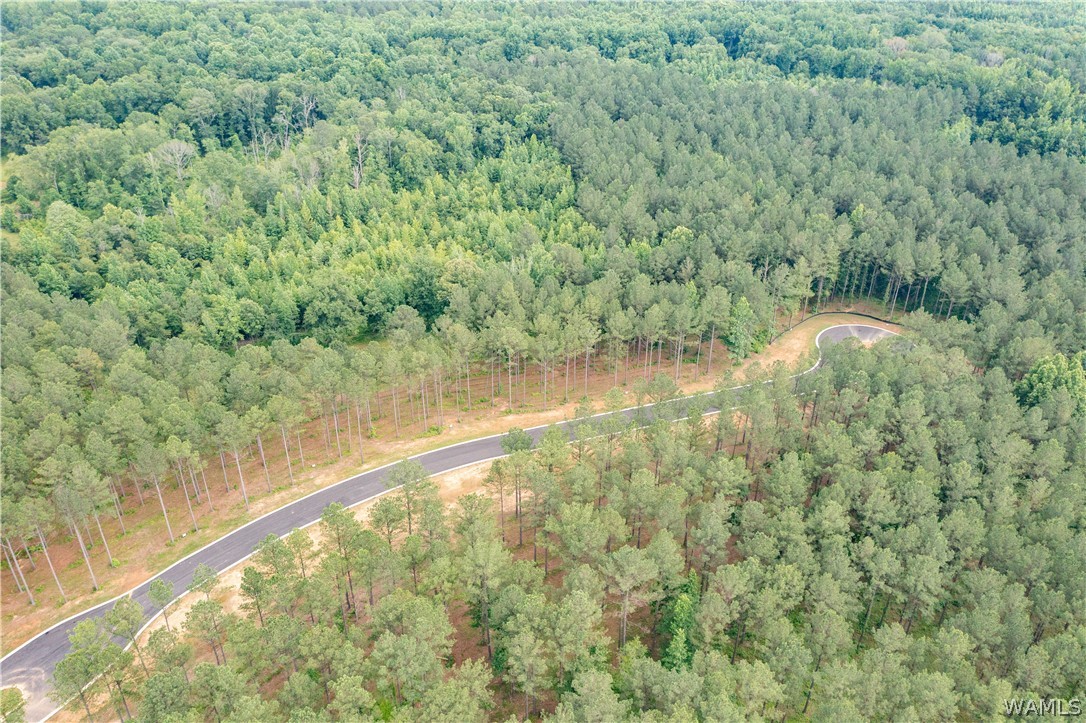 Lot 8 Stormi Way