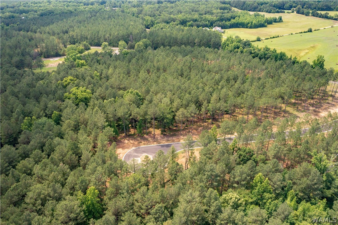Lot 8 Stormi Way