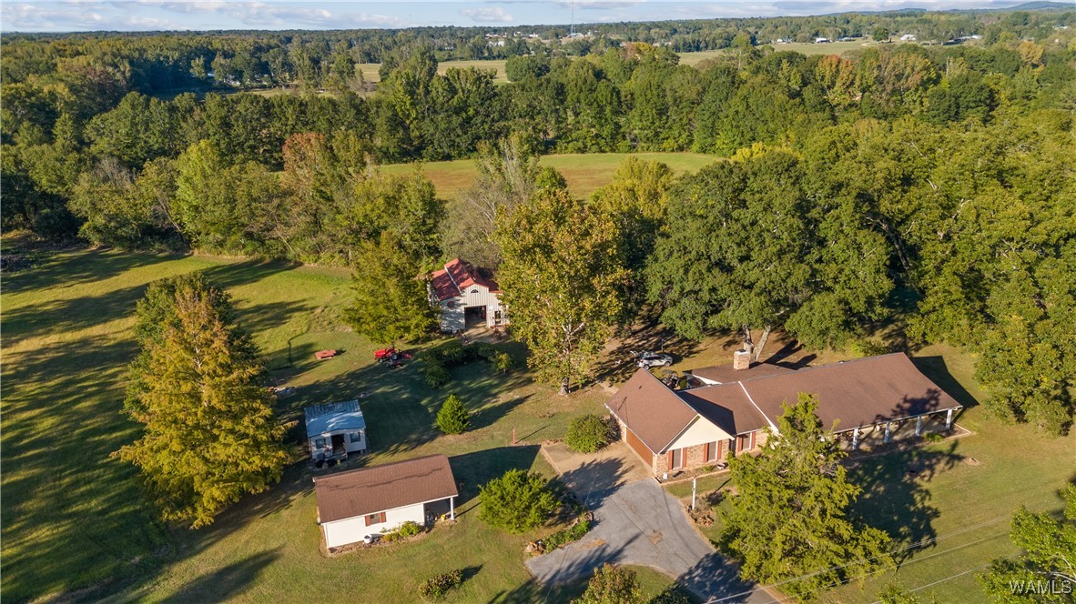 424 County Road 46