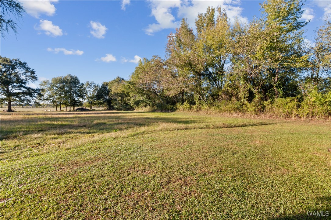 424 County Road 46