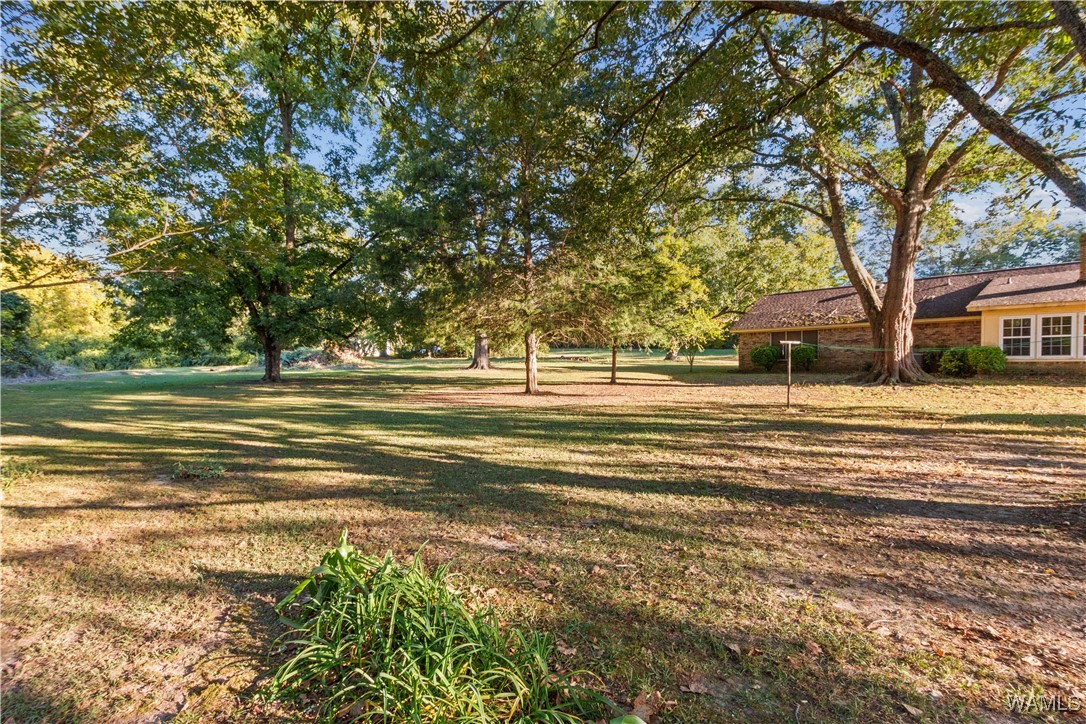 424 County Road 46