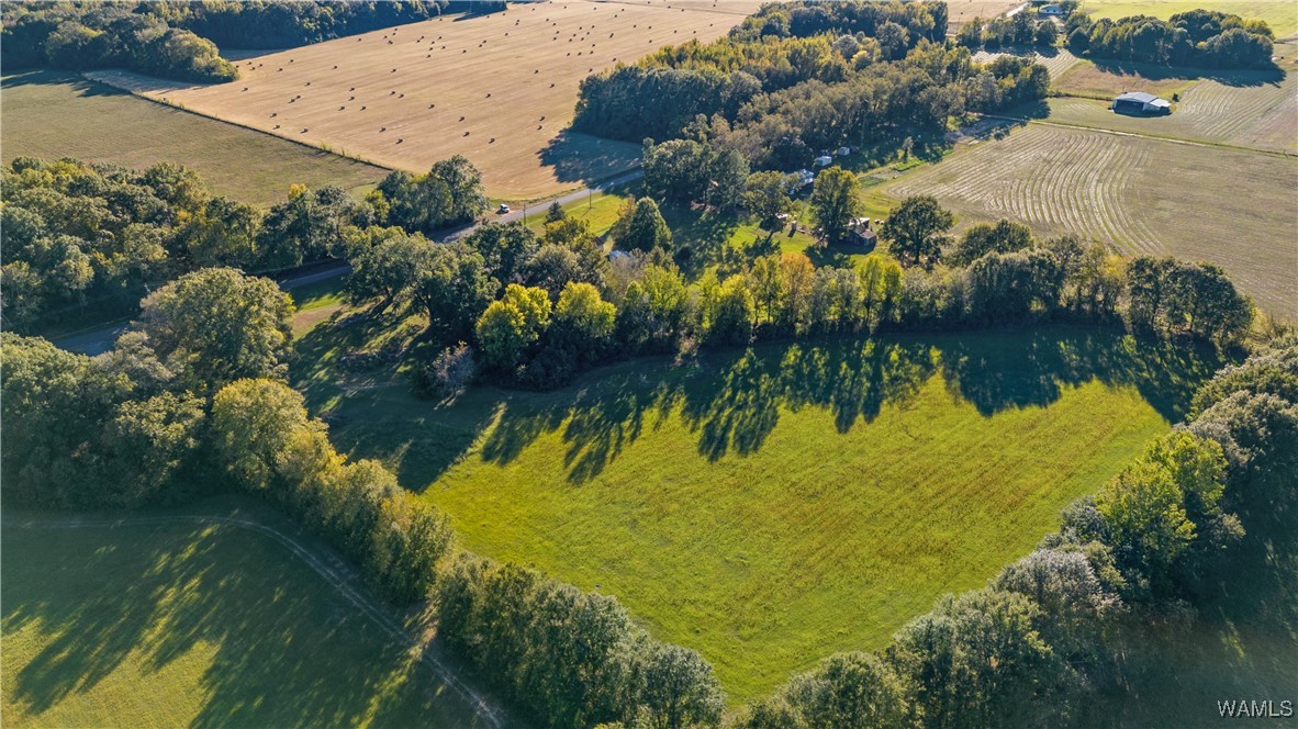 424 County Road 46