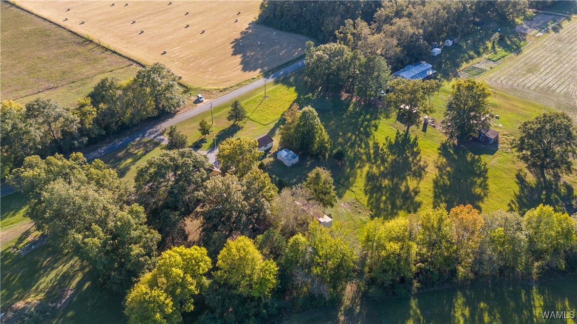 424 County Road 46