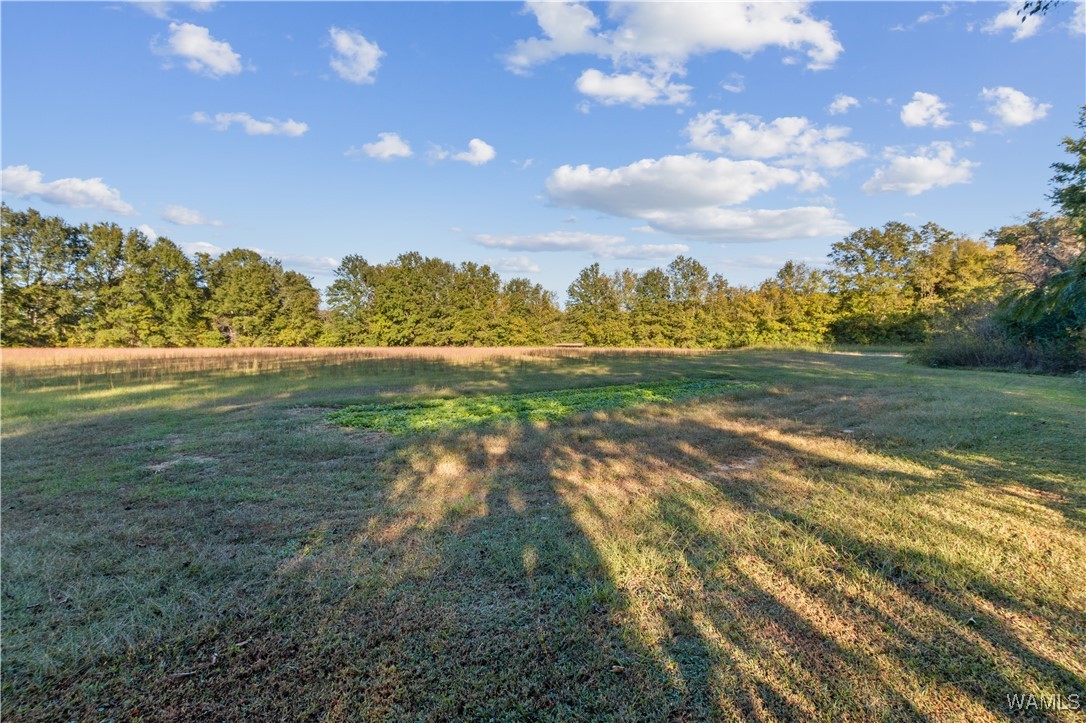 424 County Road 46