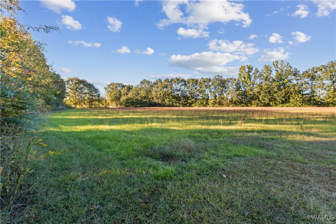 424 County Road 46