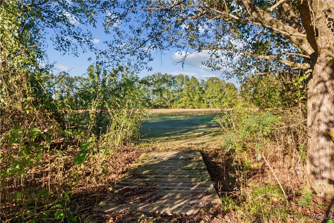 424 County Road 46