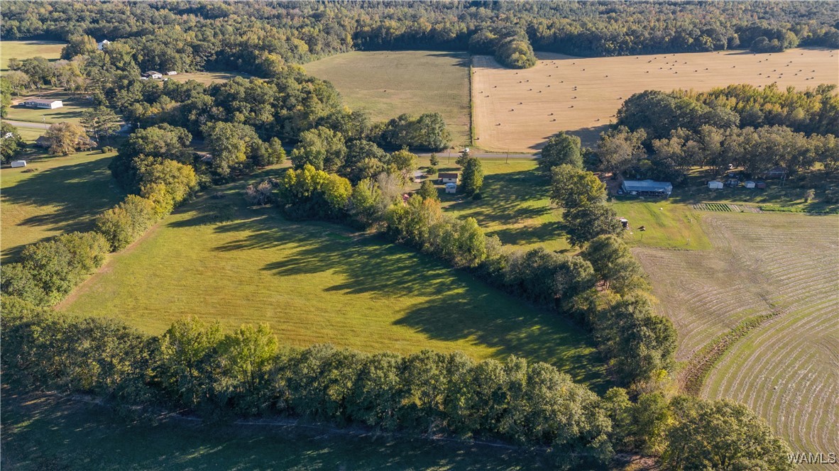 424 County Road 46