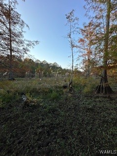 Lot 135 Black Warrior Boulevard
