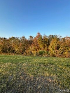 Lot 135 Black Warrior Boulevard