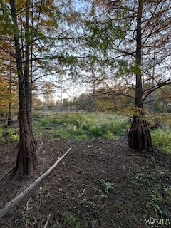Lot 135 Black Warrior Boulevard