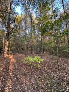 Lot 135 Black Warrior Boulevard