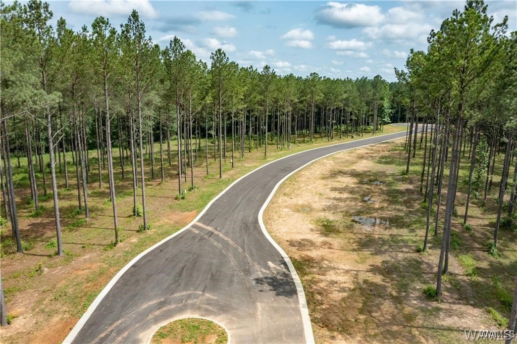 Lot 16 Stormi Way