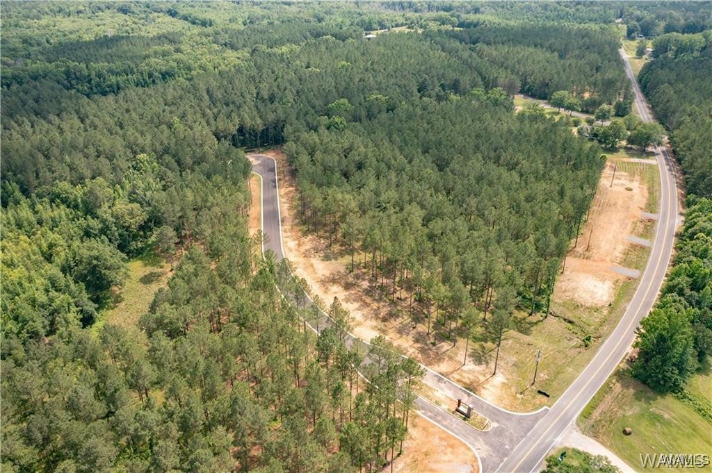 Lot 12 Stormi Way
