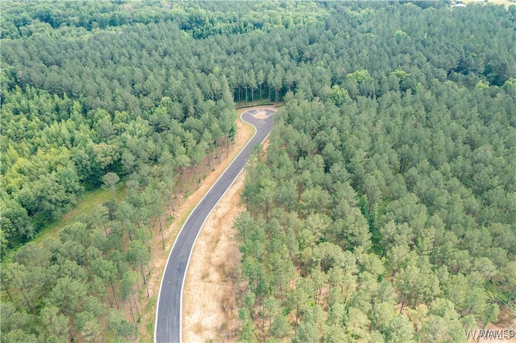 lot 1 JC Gilliam Road