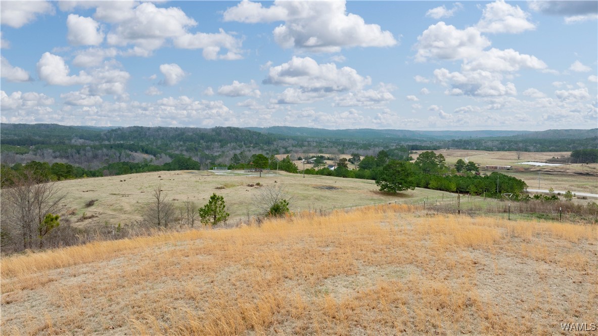 11162 Goodwater Road