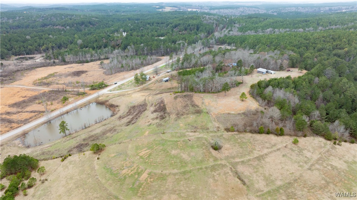 11162 Goodwater Road