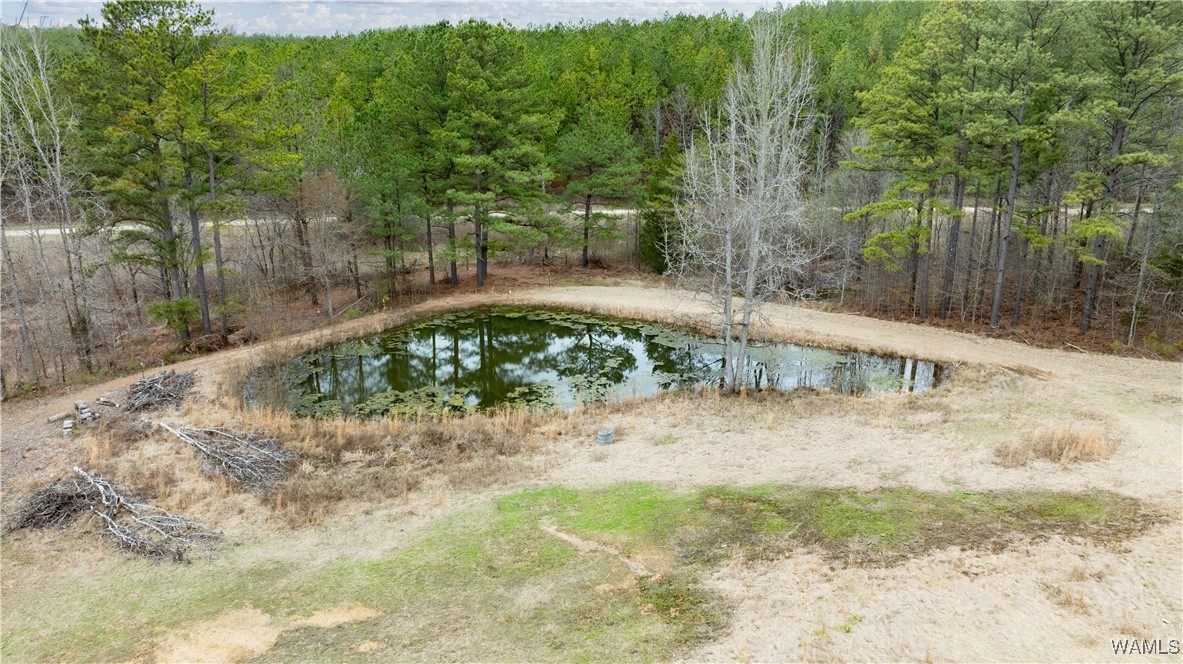 11162 Goodwater Road