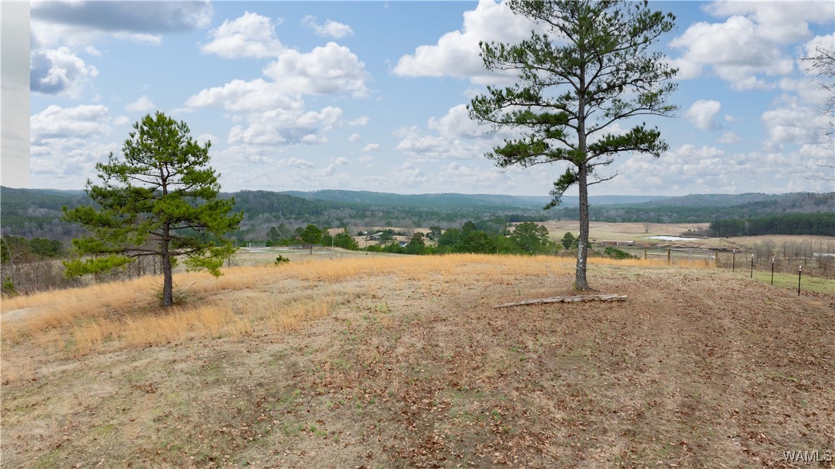 11162 Goodwater Road