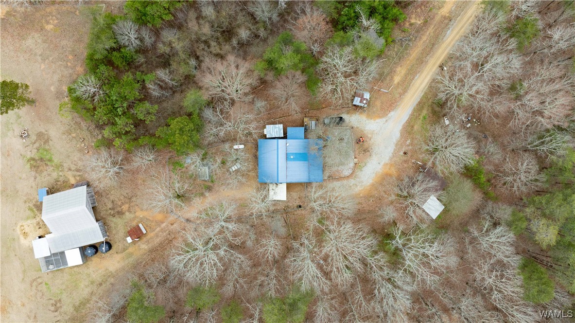 11162 Goodwater Road