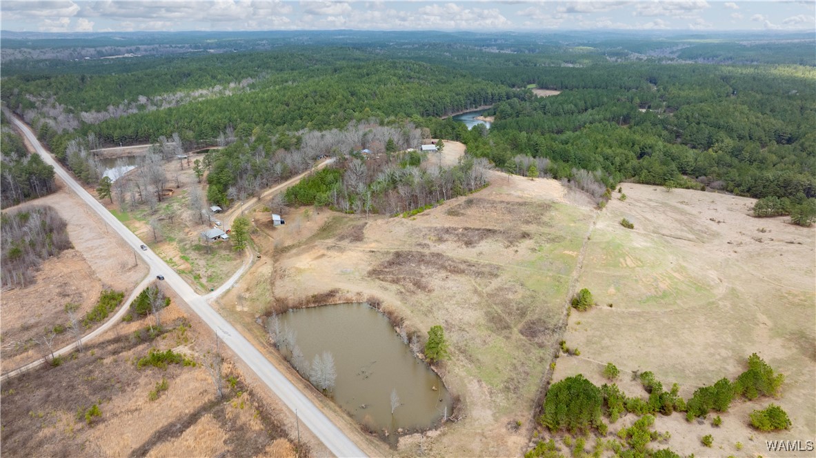 11162 Goodwater Road