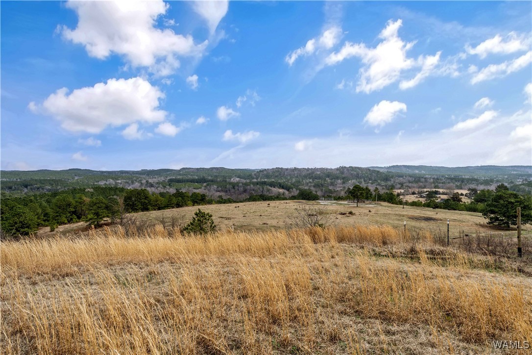 11162 Goodwater Road
